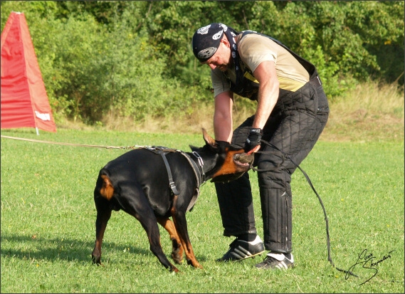 Summer training camp - Jelenec - 2007